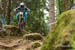 Val di Sole DH World Cup 4