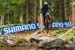 Val di Sole DH World Cup 4
