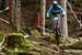 Val di Sole DH World Cup 4