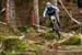 Val di Sole DH World Cup 4