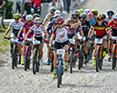 Basel Swiss Cup