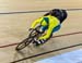 Commonwealth Games, Gold Coast 2018