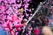 Giro d'Italia 2018 - edizione 101