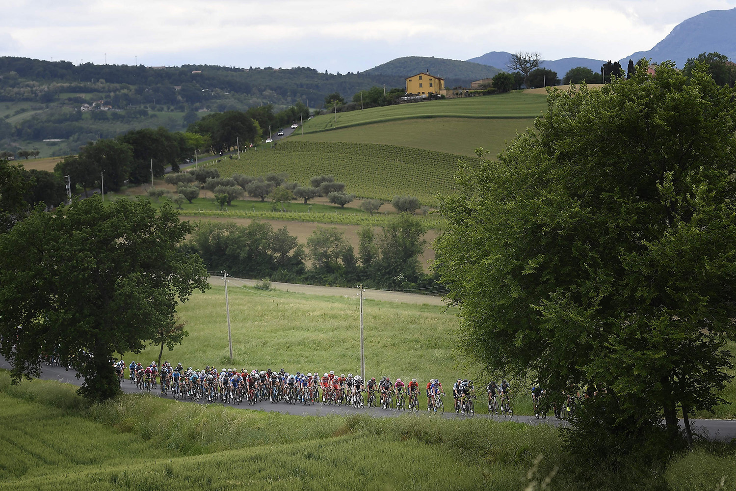 Giro d'Italia 2018 - edizione 101