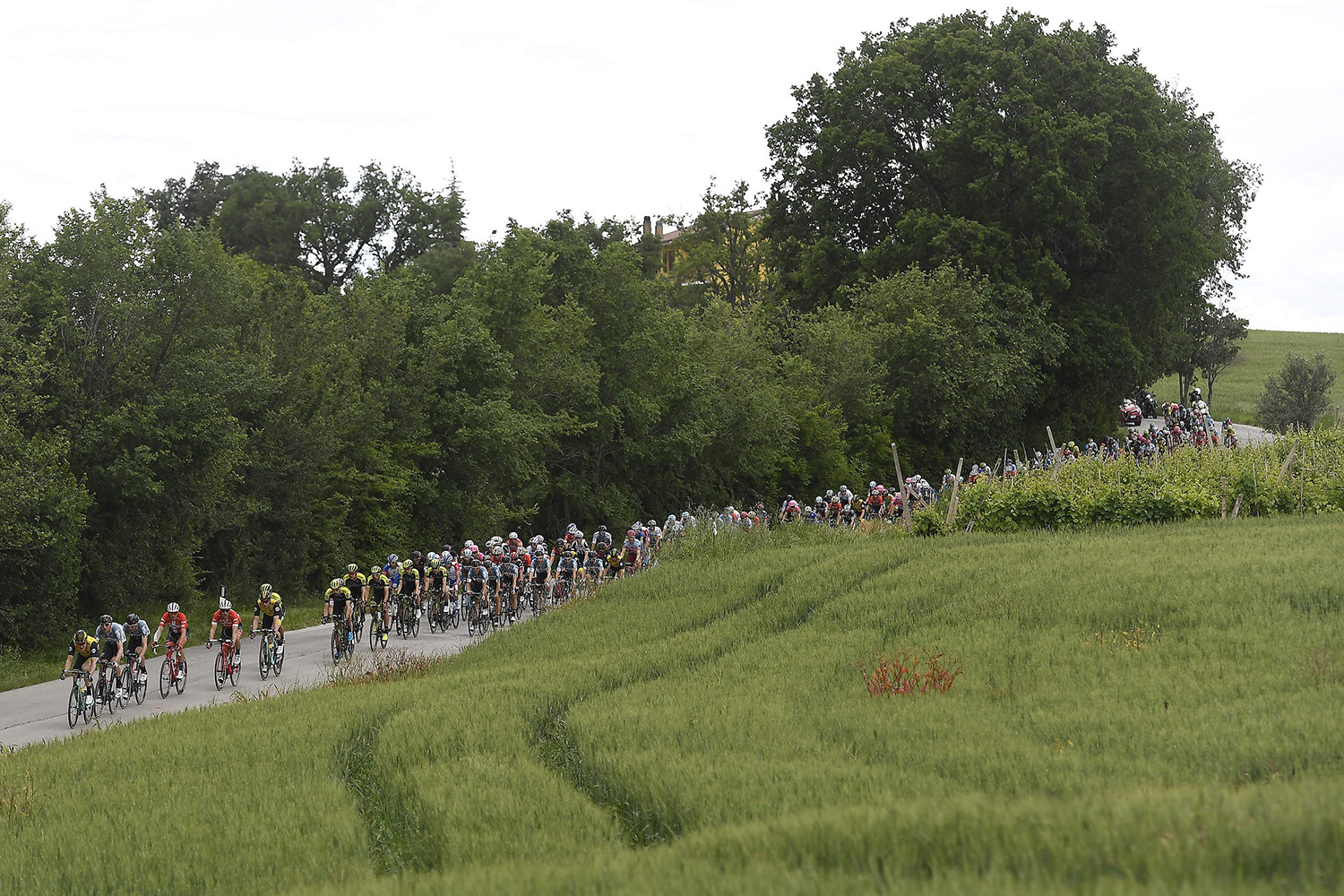 Giro d'Italia 2018 - edizione 101