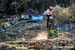World Cup DH Losinj, Croatia