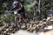 World Cup DH Losinj, Croatia