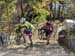 2018 Pan American Continental Cyclo-cross Championships