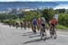 Canadian Road National Championships - RR