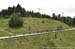 Canadian Road National Championships - RR
