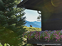 2018 Road World Championships, Innsbruck-Tirol, Austria