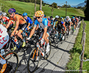 2018 Road World Championships, Innsbruck-Tirol, Austria