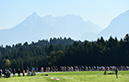 Road World Championships - Elite Men