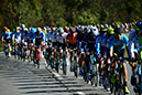 Road World Championships - Elite Men