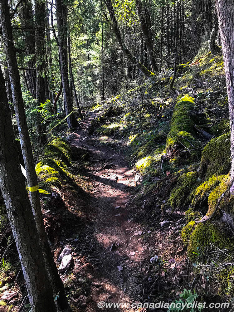 2019 Canada Cup 1, Bear Mtn