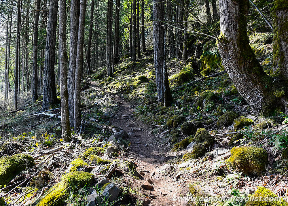 2019 Canada Cup 1, Bear Mtn