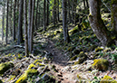 2019 Canada Cup 1, Bear Mtn