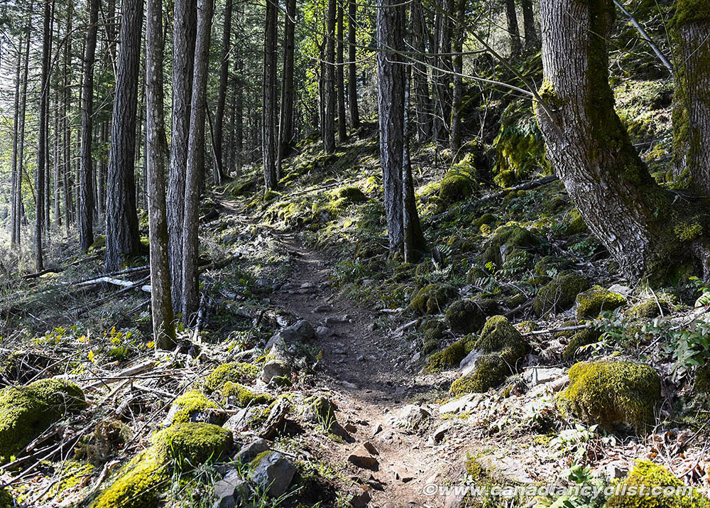 2019 Canada Cup 1, Bear Mtn