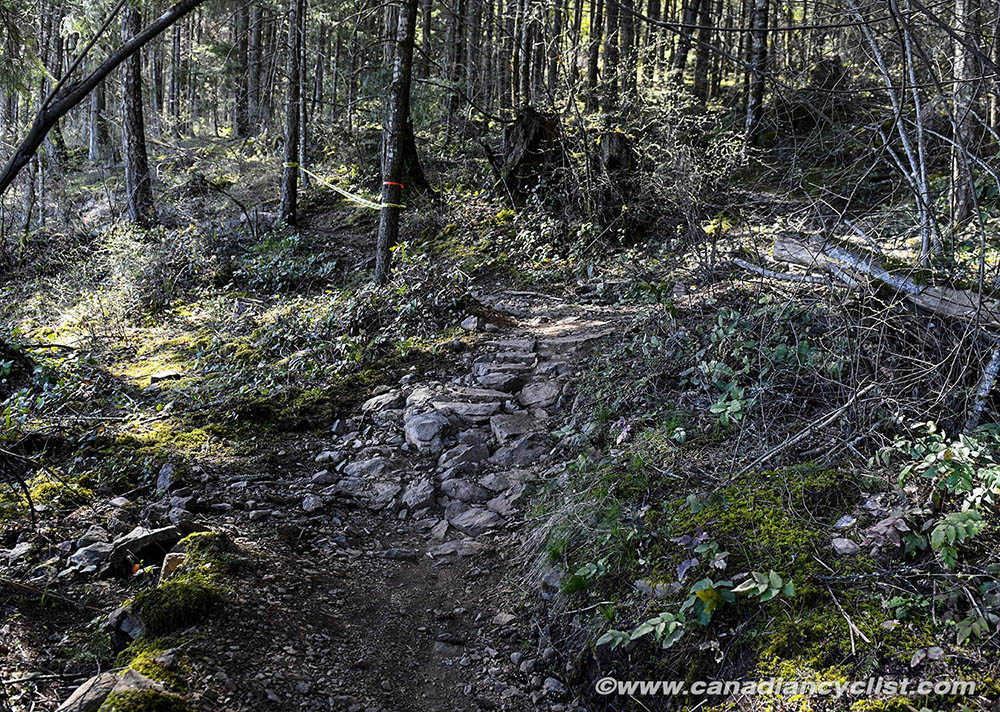 2019 Canada Cup 1, Bear Mtn