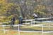 2019 Cyclocross National Championships