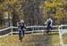 2019 Cyclocross National Championships