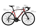 Dogma FS