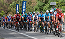 GPC Montreal