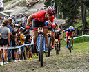 World Cup Lenzerheide, 2019