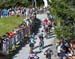 World Cup Lenzerheide XCC, 2019