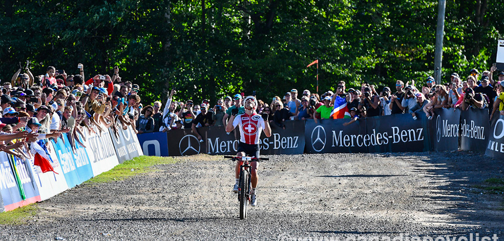 World MTB Championships, 2019