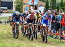 World MTB Championships, 2019