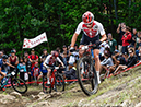 World MTB Championships, 2019