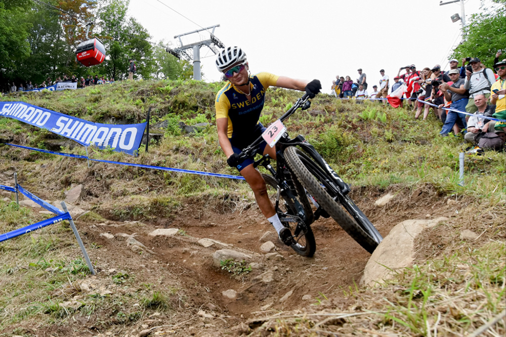 2019 MTB World Championships
