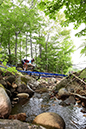 2019 MTB World Championships