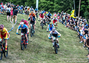 MTB World Champs