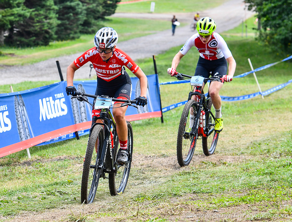 World MTB Championships, 2019