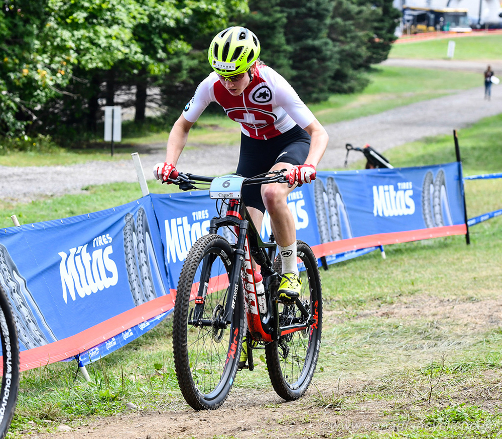 World MTB Championships, 2019