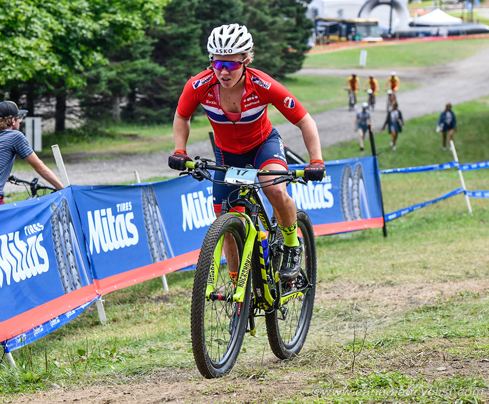 World MTB Championships, 2019