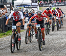 World MTB Championships, 2019
