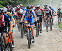 World MTB Championships, 2019
