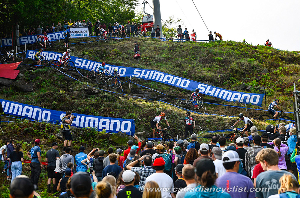 World MTB Championships, 2019