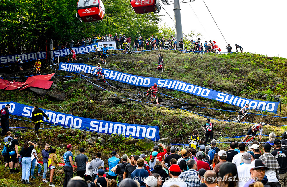 World MTB Championships, 2019