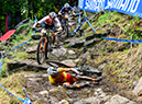 World MTB Championships, 2019