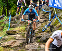 World MTB Championships, 2019