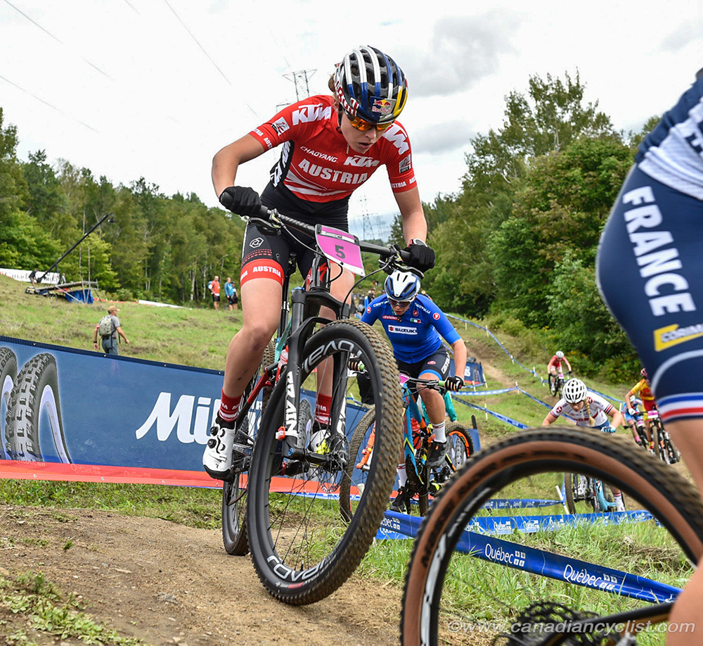 World MTB Championships, 2019