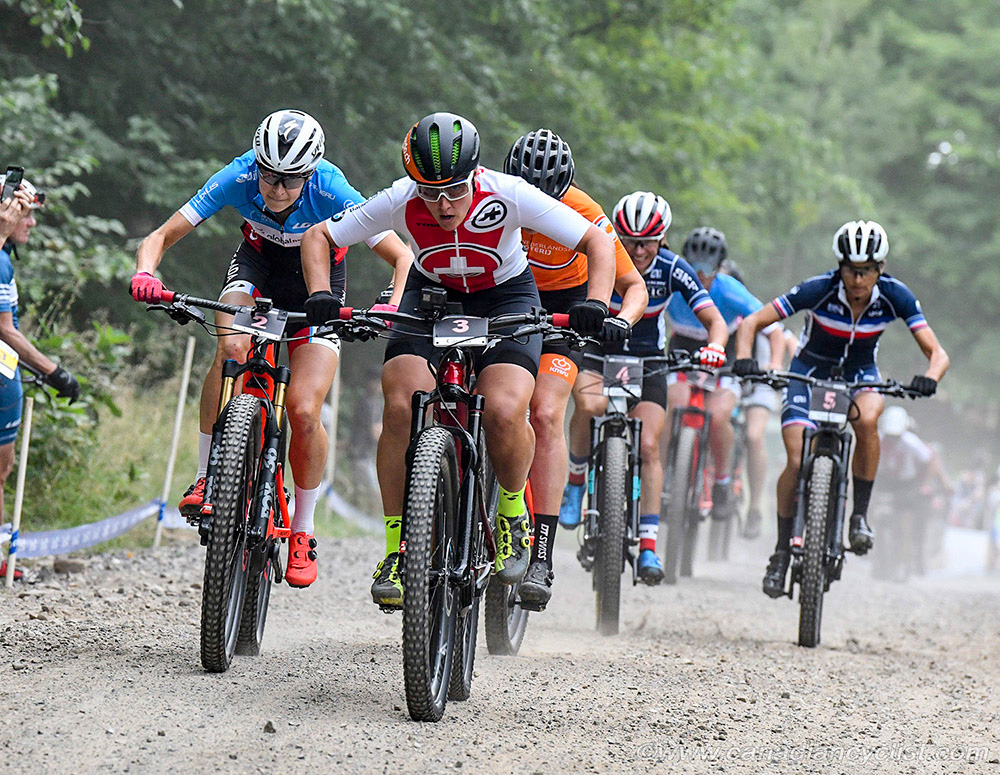 World MTB Championships, 2019