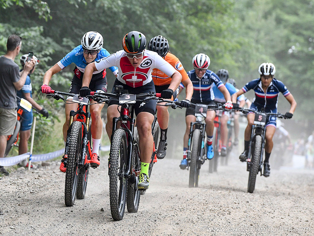 World MTB Championships, 2019