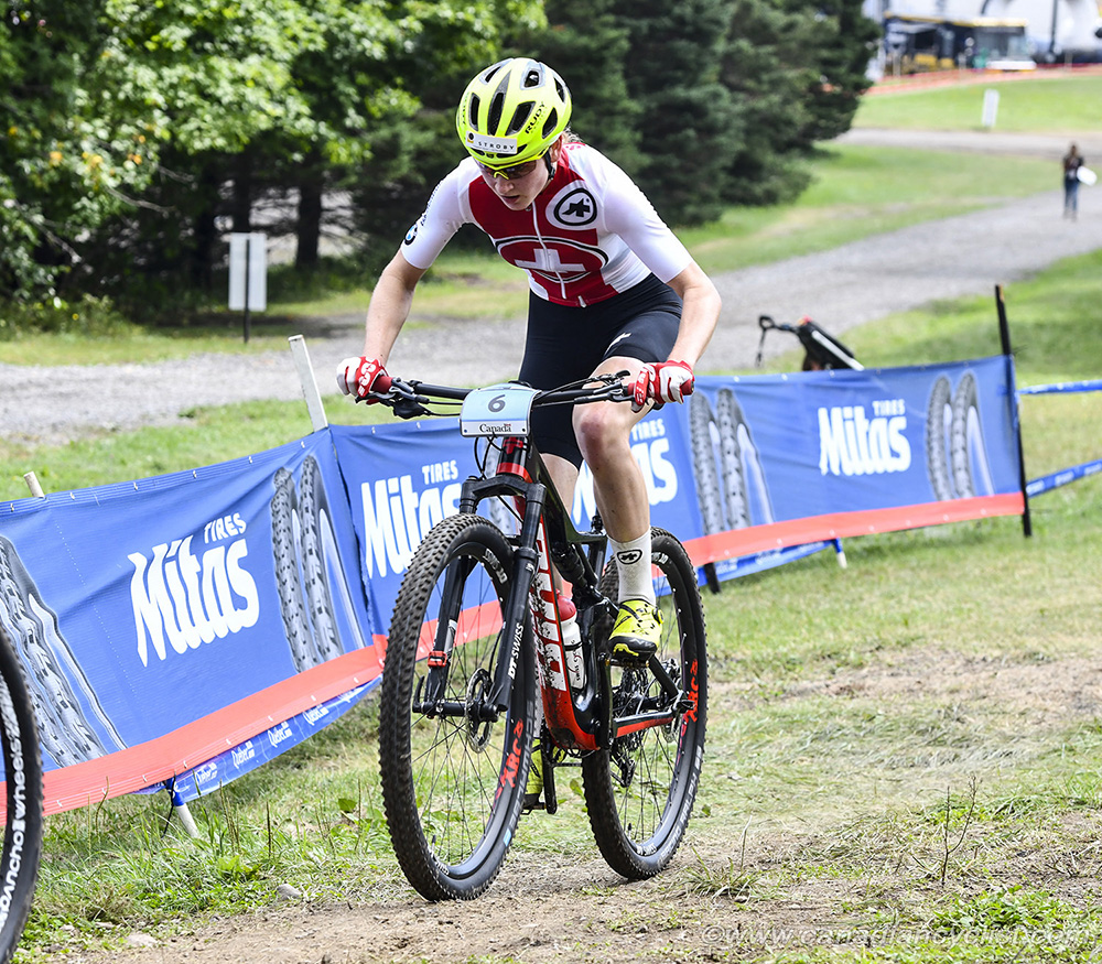 World MTB Championships, 2019