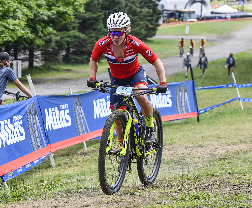 World MTB Championships, 2019