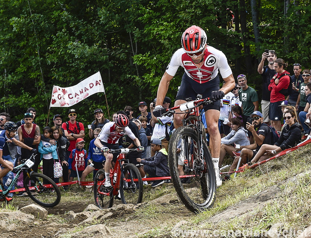 World MTB Championships, 2019